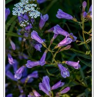 190726-11244-5DS R