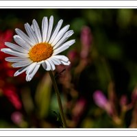 190726-11251-5DS R