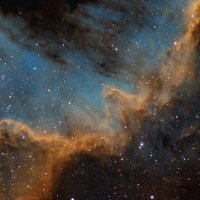 Cygnus-Wall-Small