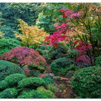 A Taste of Fall