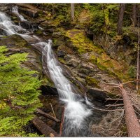 Paradise Creek