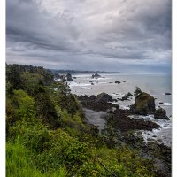 The Rocky Shoreline of Trinidad