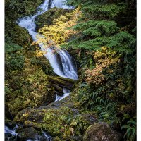 Bunch Creek Falls