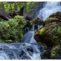 Falls Creek Falls