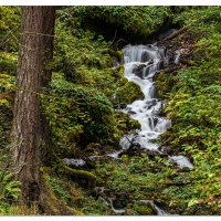 Wahkeena Falls