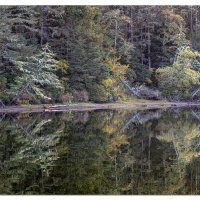 Coffenbury Lake Reflections