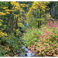 Wahkeena Falls
