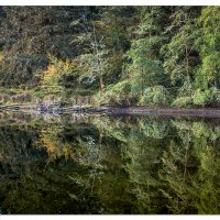 Coffenbury Lake