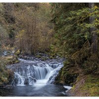 Sweet Creek - Lower Falls