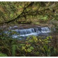 Sweet Creek - Upper Ledge Falls