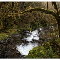 Sweet Creek -Downstream