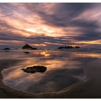 Bandon Kittens Sunset