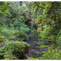 North Fork Silver Creek Trail