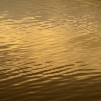 Light Agitation