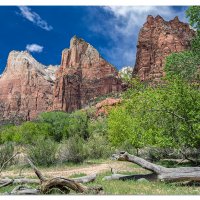 Zion - Patriarchs