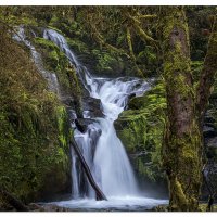 Lower Sweet Creek Falls