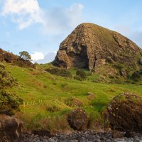 Spirit's Bay Hillside