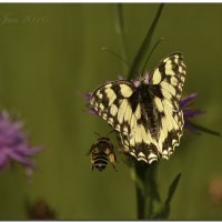 2777B556-7A75-45DD-8E66-8634F4FC656B