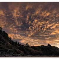 Morning Color Show