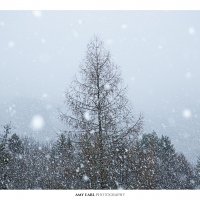 Snowfall