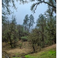 East of Clear Lake