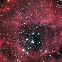 LRCC_sRGB_FW_Rosette_master_light_drizzled_DBE_CCal_stretched2_ACDNR_Sat_Morph