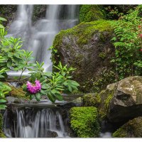 Heavenly Falls in the Spring