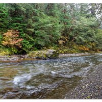 Calawah River Pano