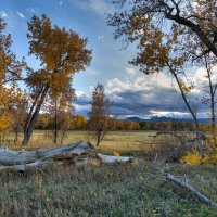 LRCC_sRGB_End_Of_Light_FW_IMG_1549_50_51