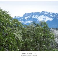 April In The Alps
