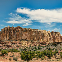 200506-12749-5DS R.jpg