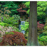 Spring and Falls