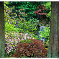 Heavenly Falls