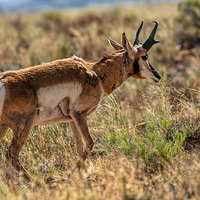 200531-13512-5DS R.jpg