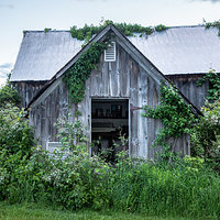 Abandoned Farm II