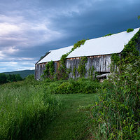 Abandoned Farm I