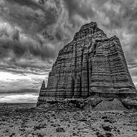 200530-13344-5DS R b&w A.jpg