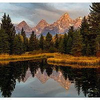 Schwabacher Landing