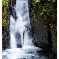 Sol Duc Falls - Below The Bridge