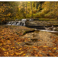 Sweet Creek - Twin Falls