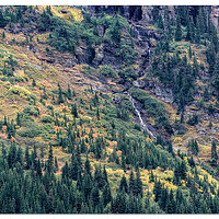 Grinnell Trail Falls