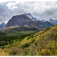 Ptarmigan Trail