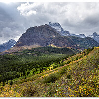Ptarmigan Trail