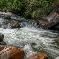 200717-13804-5DS R.jpg