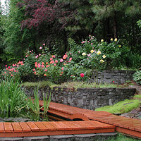 23324950.DSCN1326.jpg
