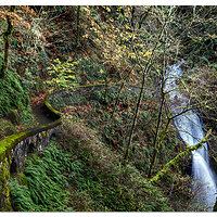 Shepperds Dell Fall10