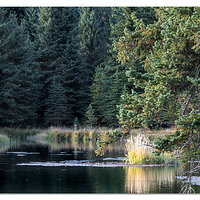 Schwabacher Landing