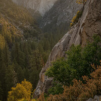 Decanted Light.jpg