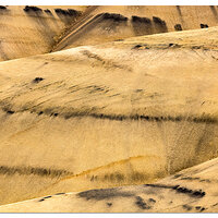 Painted Hills Abstract