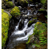 Pacific Coast Trail Falls